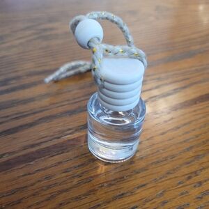 Juicy Watermelon Car Diffuser